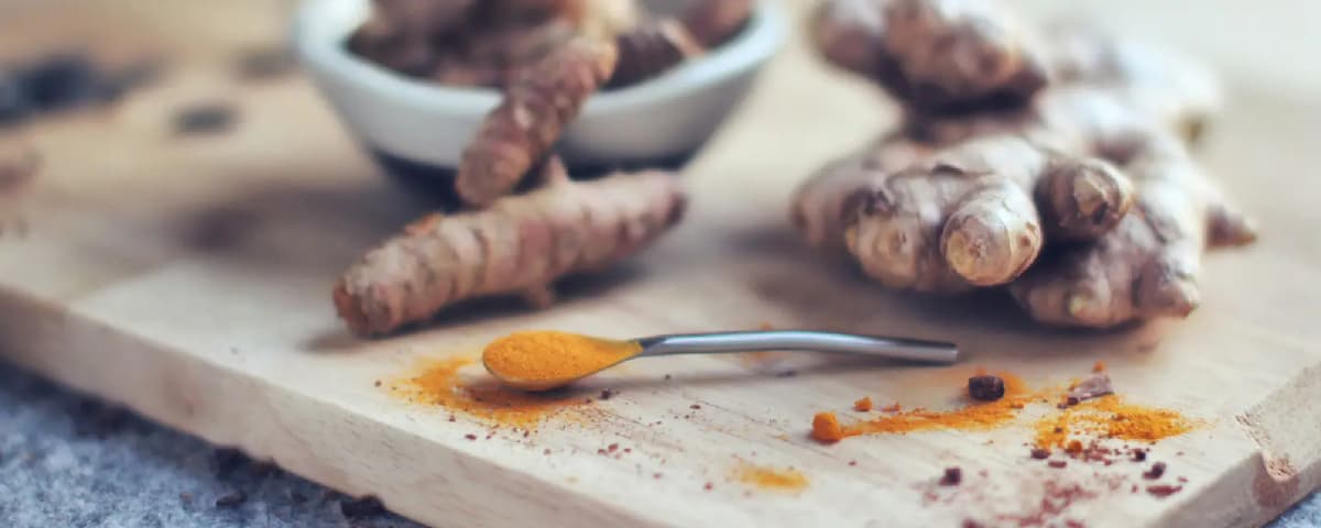 Gingembre frais ou en poudre : lequel choisir ?