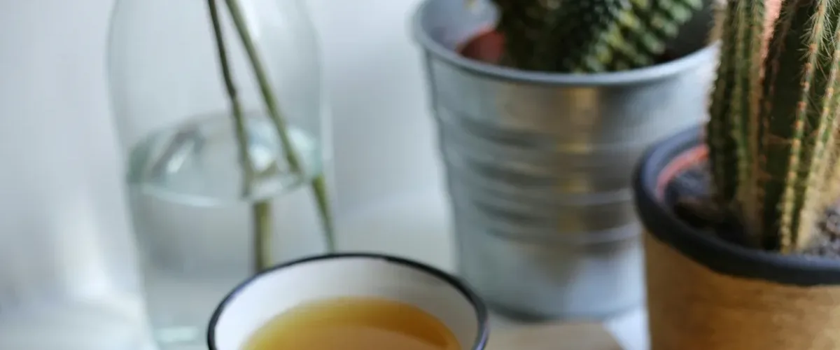 Gingembre et digestion : gastrite, reflux et ballonnements